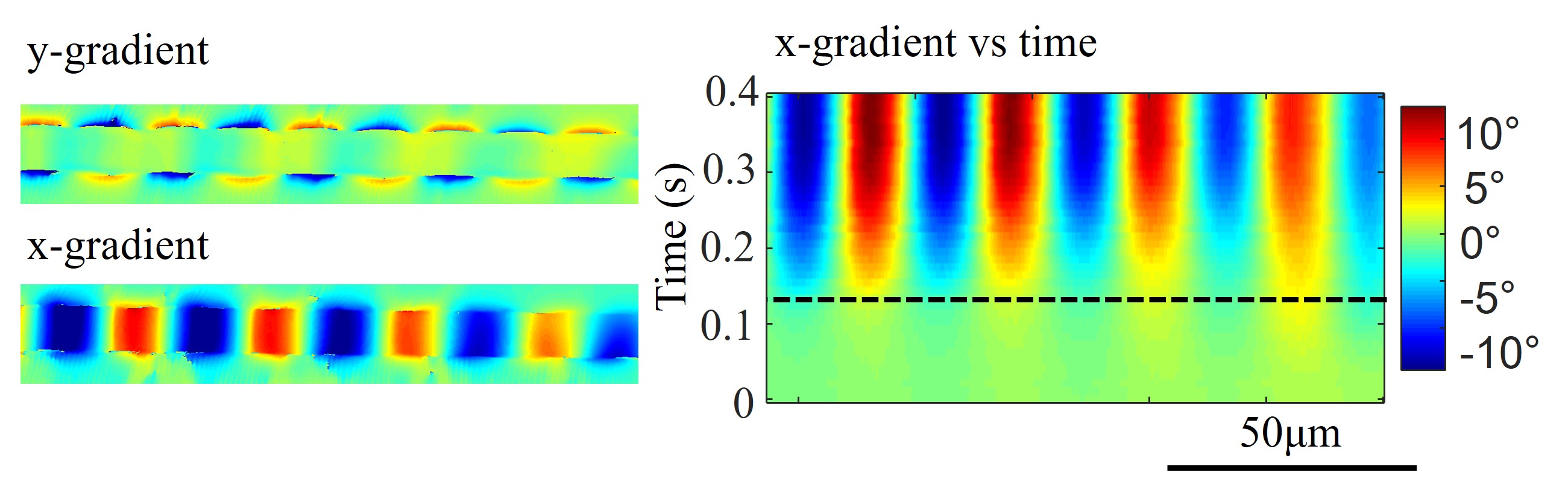 DInM Microscope Image 2